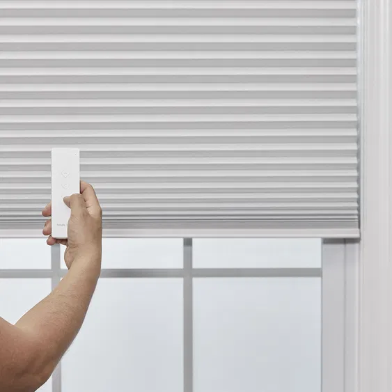 Remote Control Blinds2